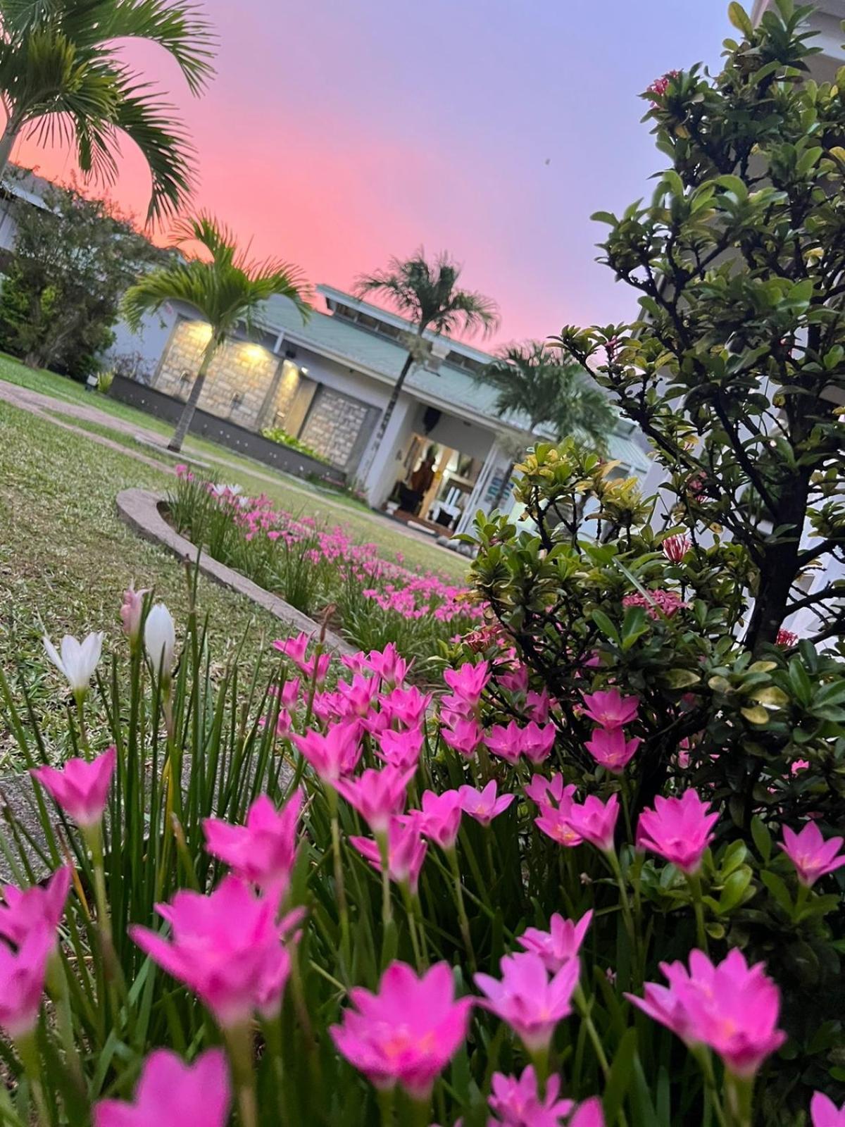 ויקטוריה Residence Argine מראה חיצוני תמונה